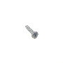 N0139729 Interior Grab Bar Screw